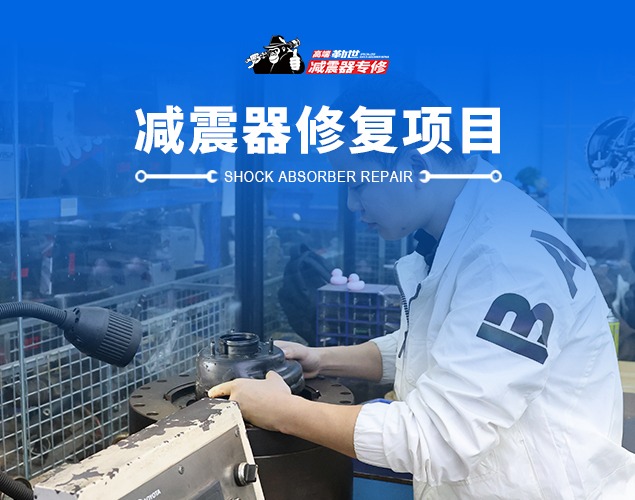 减震器修复项目